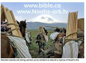 Building Ark on Mt. Ararat.tif