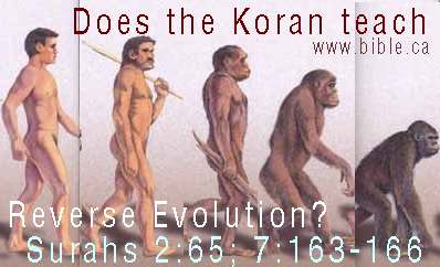 islam-reverse-evolution-ape-man-line-up.jpg