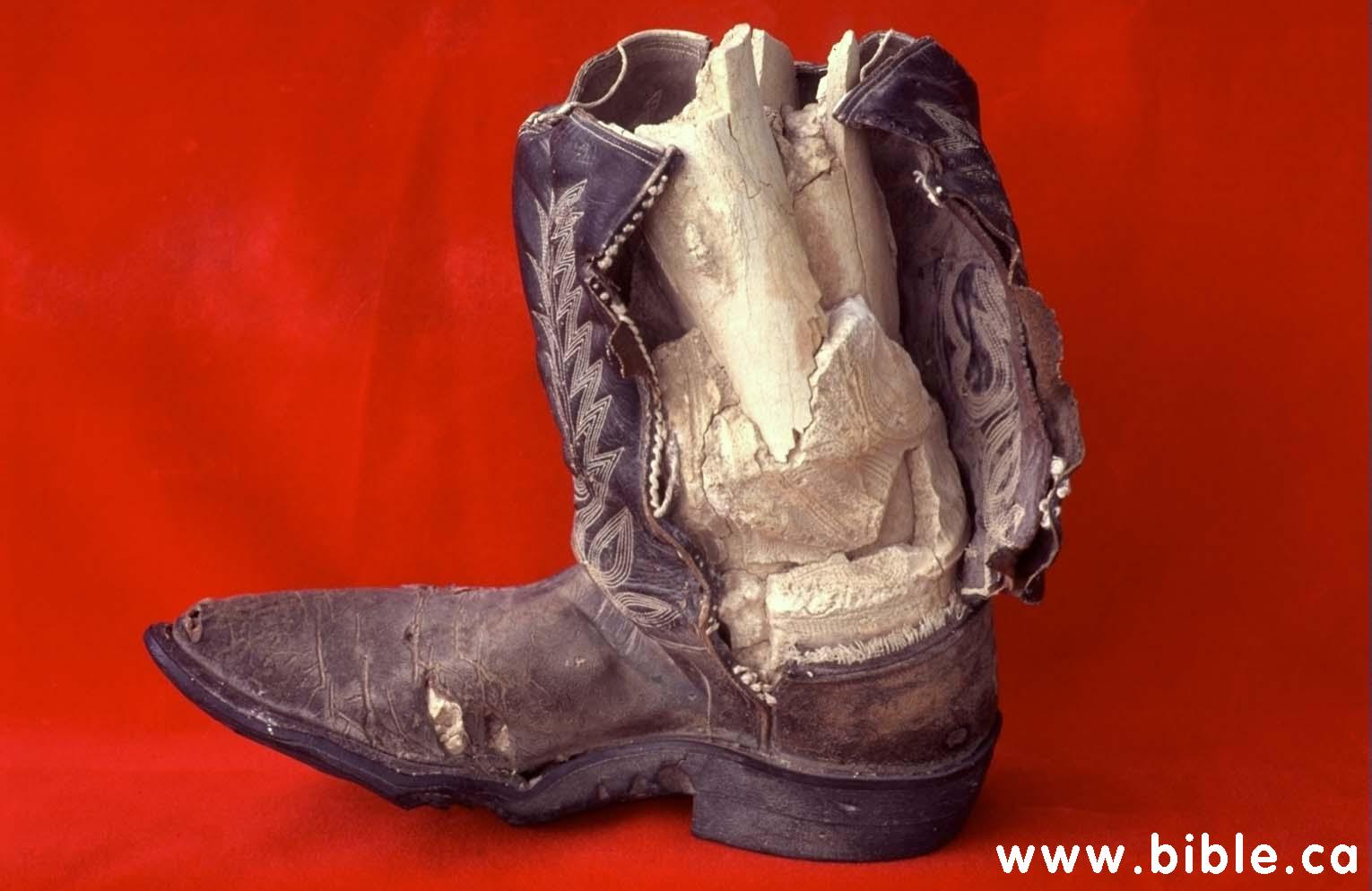 http://www.bible.ca/tracks/limestone-cowboy-boot-inside.jpg