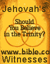 trinity-watchtower-should-you-believe.gif