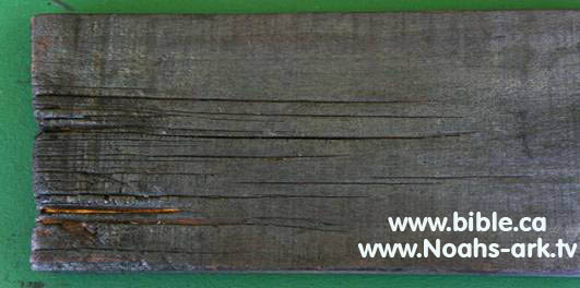 Wood from NAMI site 1.jpg