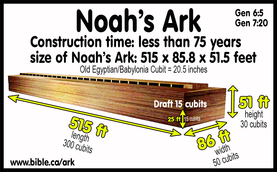 how long was the flood? how long did it take to build noah