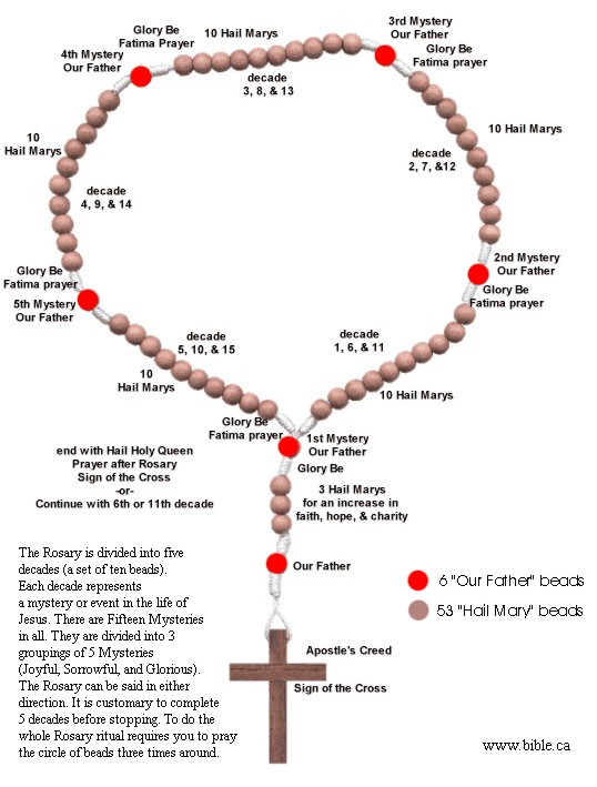 How To Become A Catholic By Catholic Truth Society - Issuu