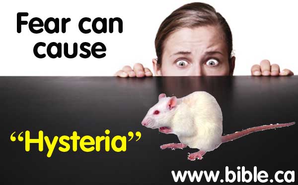 Click to View