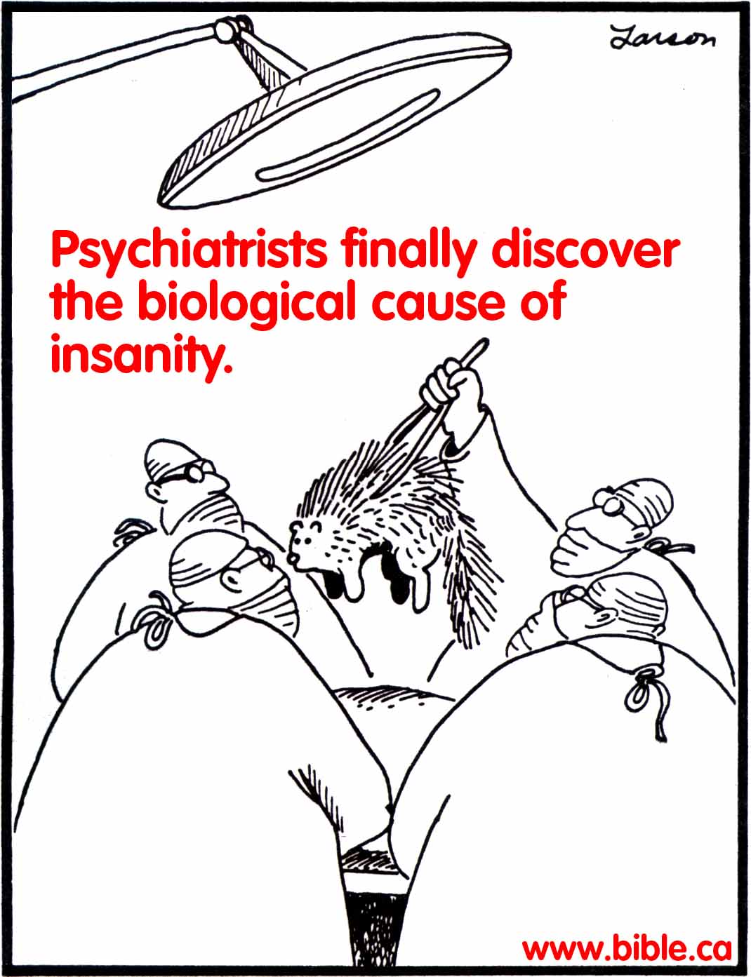 Click to View