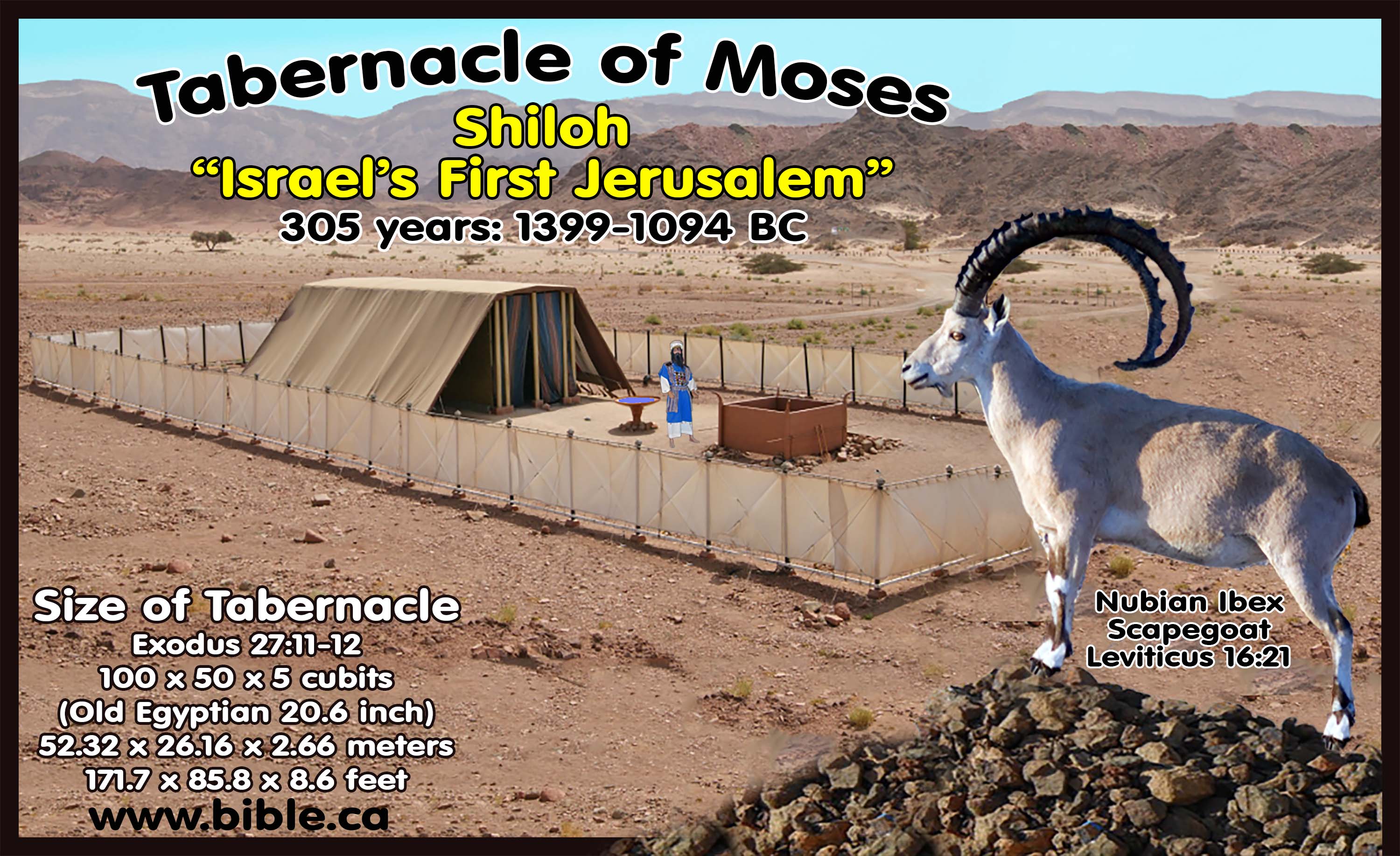 https://www.bible.ca/tabernacle-of-moses-tent-of-meeting-wilderness-outer-curtain-size-100-50-5-cubits-shiloh-israel.jpg