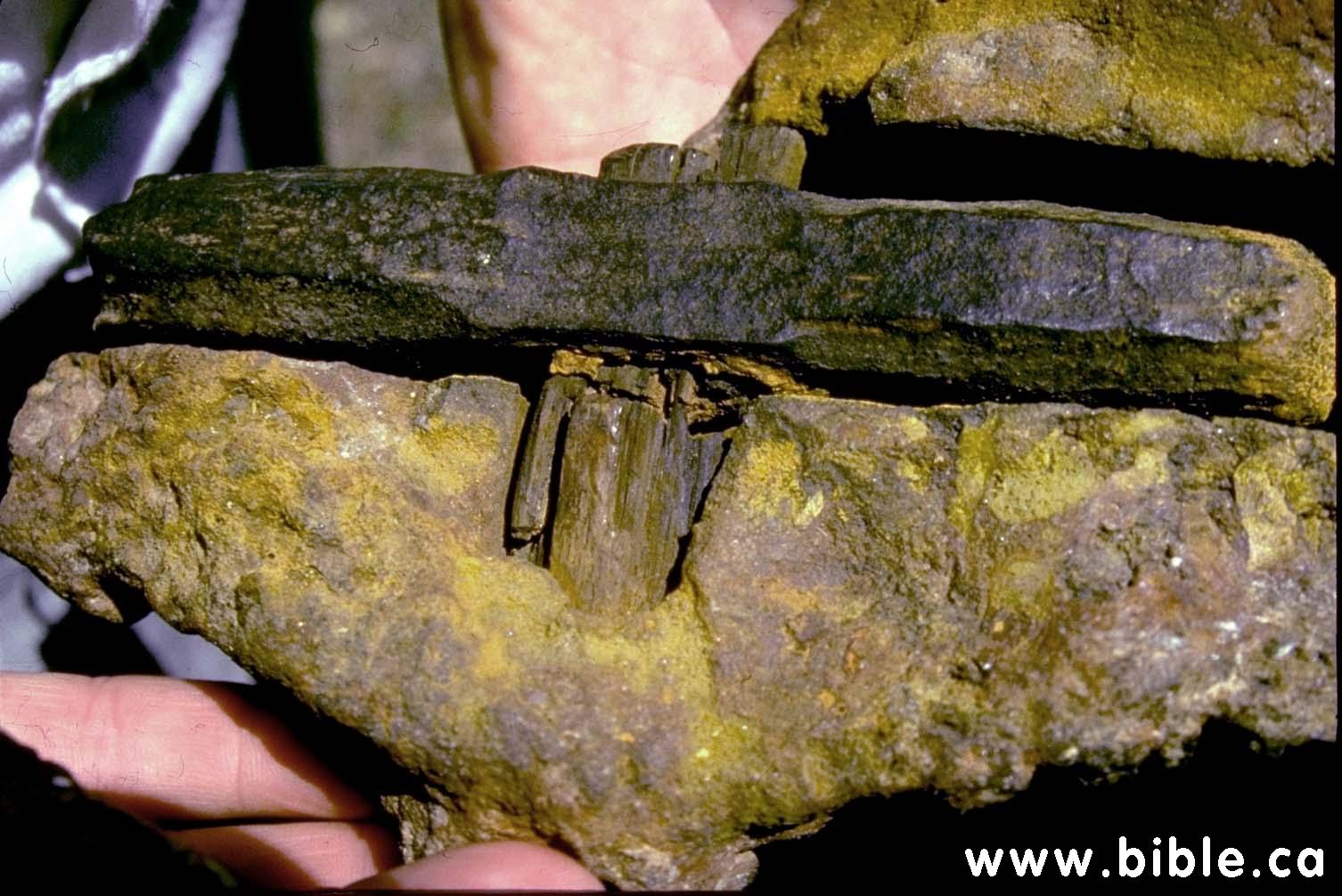 1934 год обнаружен дымчатый монокристал. Лондонский молоток артефакт. Молоток в Камне артефакт. Находки в Каменном угле. Предметы найденные в Каменном угле.